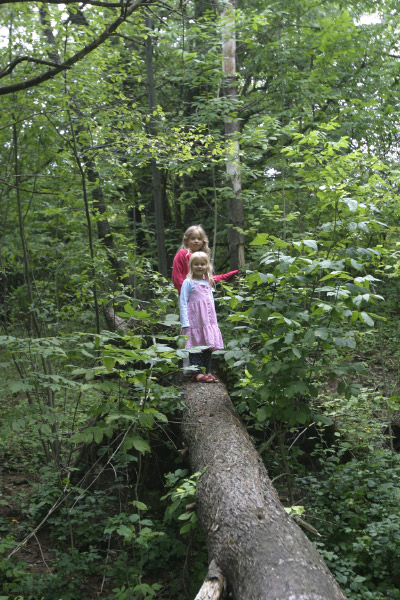 Ithaca20040010-2