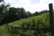 Ithaca20040070-3