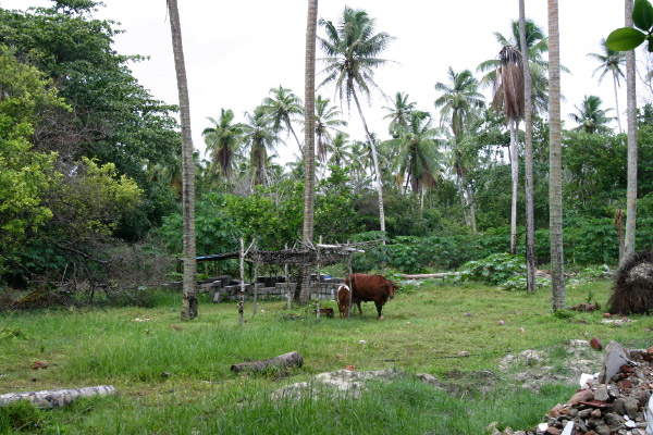 SeychellesParis2004022
