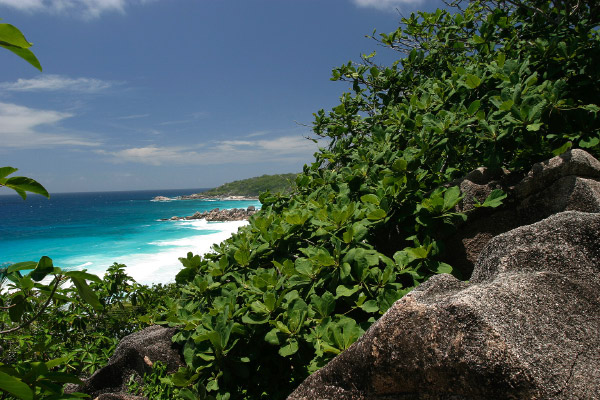 SeychellesParis2004063