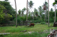 SeychellesParis2004022