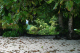 SeychellesParis2004027