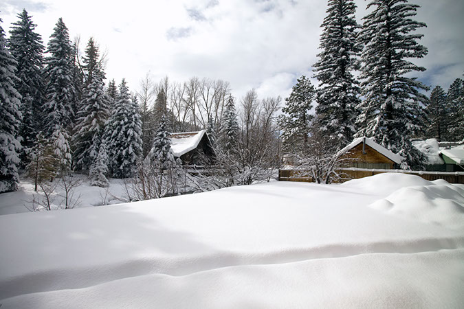 Xmas2008001